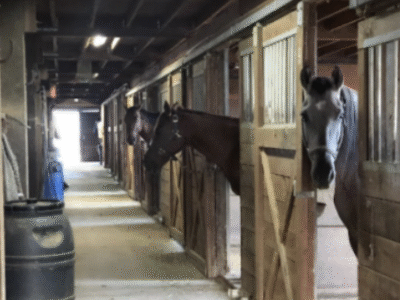 NorCal Riding Stables